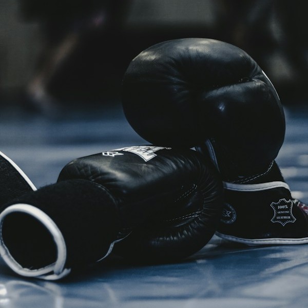 MMA & UFC